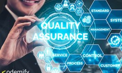 Why Are Quality Assurance Specialists Essential for Business Success?