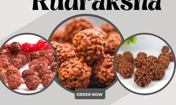 Divine Beads: Unveiling the Mystical Powers of Rudraksha
