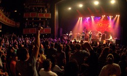The Ultimate Guide to Experiencing Live Music in Chicago: Tips for Enjoying