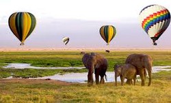 Planning Your African Hot Air Balloon Safari: Tips and Tricks