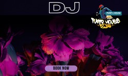 Top Rated Wedding DJ Hire Services in Sydney