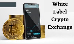 The Concept and Benefits of White Label Cryptocurrency Exchanges