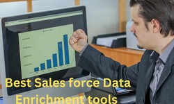 Revolutionize Your Business Strategy with Lead Chilly's Data Enrichment Tools: Unleashing the Power of Data Insights