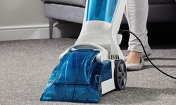 Top 10 Carpet Cleaning Services Companies in Your Area