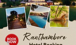 Best Ranthambore Hotel Booking Tips for Wildlife Enthusiasts