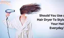 Should You Use a Hair Dryer To Style Your Hair Everyday?