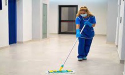 Shimmering Cleanliness: The Importance of Janitorial Services in Today's World