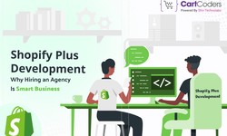 Shopify Plus Store Development: Why Hiring an Agency Is Smart Business