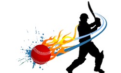 Exploring the World of Cricket ID Online: A Wide Range of Options for Gamblers