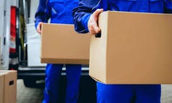 Eastern Suburbs Removalists: Efficient and Reliable Moving Services in Australia
