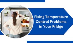Fixing Temperature Control Problems in Your Fridge: A Step by Step Guide