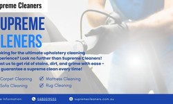 Professional Upholstery Cleaning for Special Events: Preparing Your Furniture for Guests