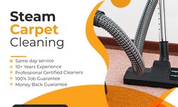 Top Steam carpet cleaning Services In Cranbourne