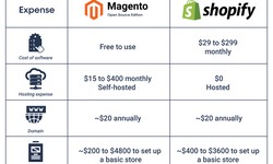 Shopify vs. Magento: Which Platform is Right for Your Business?