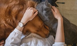 The Role of Pets in Promoting Mental Health and Well-Being