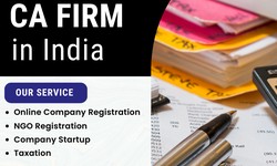 Navigating the Process: Company Registration in Jaipur Made Easy