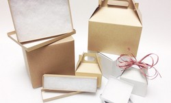 Can Custom Shoulder Boxes Elevate Your Brand Image and Sales?