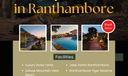How to Find Luxury Resorts in Ranthambore