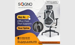 How to Choose the Best Office Chair?