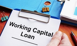The Role of Working Capital Loans in Business Expansion