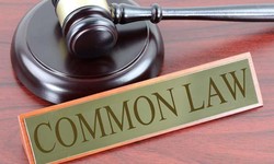 Help for Law Students: Common Law and Modern Distinctions