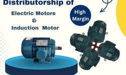 What Advantages do you Get When you Work with a Reputable Distributor of Electric Motors?