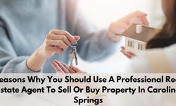 Reasons Why You Should Use A Professional Real Estate Agent To Sell Or Buy Property In Caroline Springs