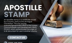 Decoding the Apostille Process: Why It's Essential for Your Global Interactions