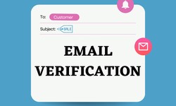 The Importance of Email Verification: Why Cleanse Your Email List?