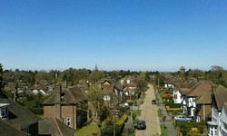 Enhancing Bedford's Green Canopy: The Part of a Tree Surgeon