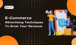 E-commerce Advertising Techniques To Grow your Revenue