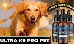Unleash the Potential with Ultra K9 Pro: Your Dog's Best Ally!