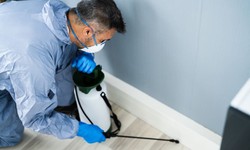 Pest Prevention for Businesses: Safeguarding Your Commercial Space