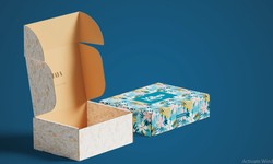 Unboxing the Experience: How Retail Boxes Elevate the Customer Journey