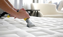 Invest in a Healthy Home: The Top Reasons to Prioritize Mattress Sanitisation