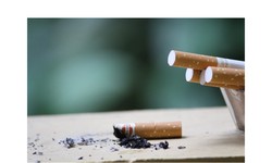 What is the "Nová Chuť Tabák," and how does it differ from traditional tobacco products