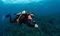 Discovering Underwater Wonders With Scubapro Hydros Pro: A Dive Into Adventure