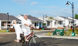 What Makes Retirement Villages The Ideal Community For Active Seniors?