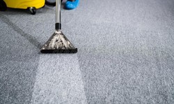 Why Regular Carpet Cleaning is Essential for a Healthy Home in Southbank?