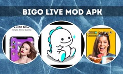 What steps can users take to ensure their privacy and data security when using Bigo Live Mod Apk