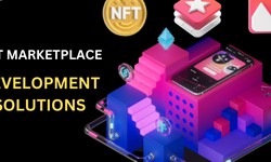Building a Blockchain Canvas: NFT Marketplace Development Solutions