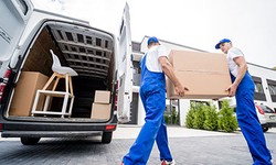 Best Courier & AMP; Delivery Services: Your Path to Speedy Shipments