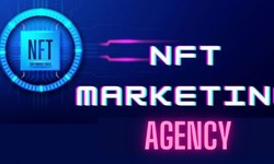Navigating the NFT Landscape: How an NFT Marketing Agency Can Boost Your Success