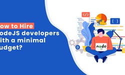 On a budget, learn How to hire NodeJS developers with a minimal budget?