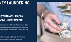 Hidden Trails: Tracing Fragmented Identity Signals in Money Laundering