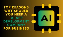 Top Reasons Why Should You Need a AI App Development Company For Business