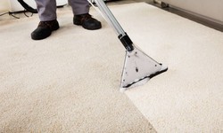 The Ultimate Guide to Carpet Deep Cleaning Services