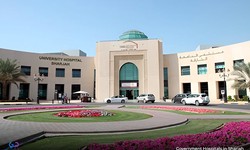 Revive & Thrive: The Government Hospital of Sharjah