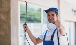 The Economic Costs of Pest Infestations: Why Investing in Pest Control Pays Off