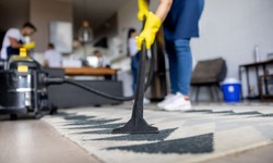 Steam vs. Dry Carpet Cleaning: Choosing the Right Method for Your Home